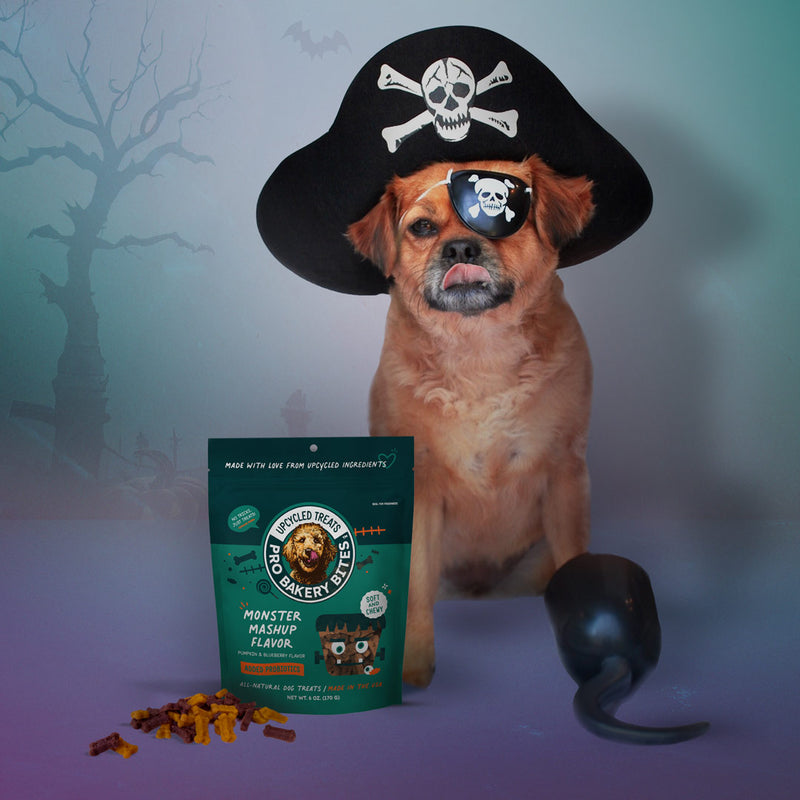 NEW! Halloween Pro Bakery Bites Soft & Chewy - Monster Mashup Flavor 6oz