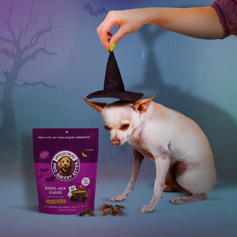 NEW! Halloween Pro Bakery Bites Soft & Chewy - Ghoul-ash Flavor 6oz